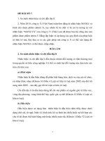 Bài tập học kì môn sở hữu trí tuệ