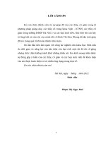 Nghiên cứu một số đặc tính sinh học của chủng vi khuẩn acetobacter xylinum có khả năng tạo màng BC