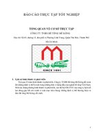 TỔNG QUAN VỀ CƠ SỞ THỰC TẬP CÔNG TY TNHH BÊ TÔNG MÊ KÔNG