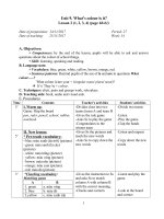 UNIT 9 what colour is it  lesson 2  Grade 3 Macmillan