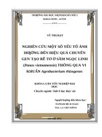 Nghiên cứu một số yếu tố ảnh hưởng đến hiệu quả chuyển gen tạo rễ tơ ở sâm ngọc linh ( Panax vietnamensis) thông qua vi khuẩn Agrobacterium rhizogenes
