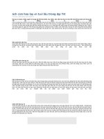 cách cắm hoa lay ơn tươi lâu trong dịp tết