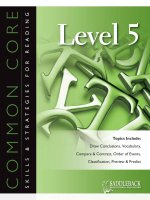Common Corre Skills and Strategies For Reading Level 5