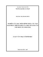 Nghiên cứu đặc điểm hình thái, cấu tạo giải phẫu thích nghi của một số loài cây với nhân tố ánh sáng (LV thạc sĩ)