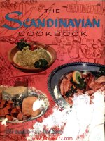 The scandinavian cook book 
