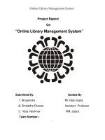 11 project online library management system
