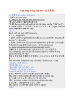 Ngữ pháp trung cấp tiếng nhật N3 theo chủ điểm