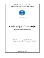Tìm hiểu quy trình xử lý nước thải tại công ty TNHH somerset hải phòng  bước đầu đánh giá khả năng tiếp nhận nước thải của sông cấm   