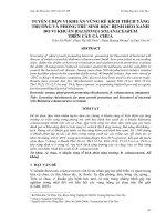 TUYỂN CHỌN VI KHUẨN VÙNG RỄ KÍCH THÍCH TĂNG TRƯỞNG VÀ PHÒNG TRỪ SINH HỌC BỆNH HÉO XANH DO VI KHUẨN RALSTONIA SOLANACEARUM TRÊN CÂY CÀ CHUA