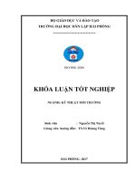 Khảo sát hiệu quả hấp phụ đồng trong nước bằng vỏ trấu biến tính trong môi trường siêu âm tần số 40 khz   