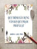 Quy trình xây dựng văn bản quy phạm pháp luật