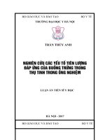 Nghiên cứu các yếu tố tiên lượng đáp ứng của buồng trứng trong thụ tinh trong ống nghiệm