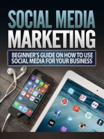 Social media marketing beginner gui on how to social media for your business 