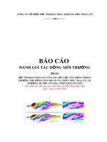 Báo cáo: Đầu tư khai thác đá vôi làm vật liệu xây dựng thông thường tại mỏ đá vôi vạn Xuân, Thôn Trúc Mai, xã Lâu Thượng, huyện Võ Nhai, tỉnh Thái Nguyên