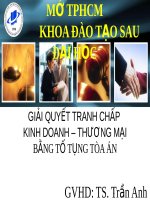 Giải quyết tranh chấp kinh doanh   thương mại bằng tố tụng tòa án 