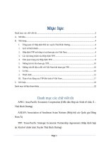 Bình luận về hiệp định đối tác xuyên Thái Bình Dương TPP và ảnh hưởng của nó đến Việt Nam