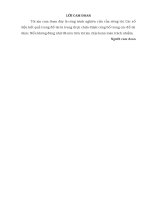 Xét xử Tội trộm cắp tài sản trên địa bàn huyện Thăng Bình, thực trạng, nguyên nhân và các biện pháp đấu tranh