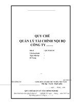 Quy chế quản lý tài chính nội bộ công ty theo tiêu chuẩn ISO 9001;2015