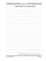 TKMH chiến lược kinh doanh: đánh giá các yếu tố và hoạch định chiến lược kinh doanh công ty rau sạch