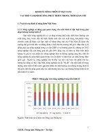 Kinh tế nông thôn ở Việt Nam vài trò và định hướng phát triển trong thời gian tới