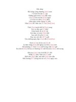 Lời bài hát hợp âm guitar Bãi nắng