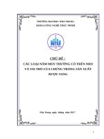 CÁC LOẠI nấm MEN THƯỜNG có TRÊN NHO và VAI TRÒ của CHÚNG TRONG sản XUẤT rượu VANG