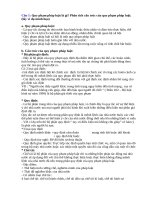 ĐỀ CƯƠNG DẪN LUẬN CHI TIẾT