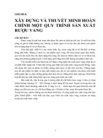 XÂY DỰNG và THUYẾT MINH HOÀN CHỈNH một QUY TRÌNH sản XUẤT rượu VANG