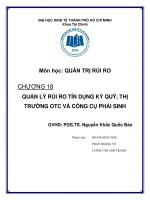 Tiểu luận môn quản trị rủi ro quản lý rủi ro tín dụng ký quỹ, thị trường OTC và công cụ phái sinh 