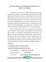 Phân tích chiến lược kinh doanh marketing của công ty hanosimex