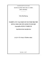 Nghiên cứu tạo một số vector nhị thể dùng cho chuyển gen ở nấm sợi aspergillus bằng vi khuẩn agrobacterium tumefaciens 