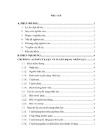 Công tác tuyển dụng nhân lực tại công ty CP đầu tư thương mại và phát triển công nghệ FSI