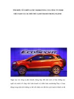 TÌM HIỂU về CHIẾN lược MARKETING của CÔNG TY FORD VIỆT NAM và các đối THỦ CẠNH TRANH TRONG NGÀNH