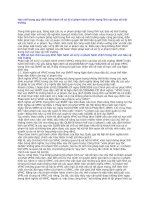 Com   han che trong quy dinh hien hanh ve xu ly vi pham hanh chinh trong linh vuc bvmt