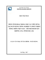 Phân tích hoạt động cho vay tiêu dùng tại ngân hàng nông nghiệp và phát triển nông thôn việt nam – chi nhánh huyện krông ana, tỉnh đắk lắk