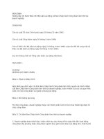 Com   nghi dinh huong dan thi hanh dieu 153 bo luat lao dong ve ban chap hanh cong doan lam thoi tai doanh nghiep