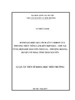 Đánh giá hiệu quả tích lũy cacbon của phương thức nông lâm kết hợp keo  chè tại vùng đệm khu bảo tồn thần sa – phượng hoàng, huyện võ nhai, tỉnh thái nguyên 