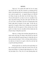 Hệ thống thủy vân số và ứng dụng thủy vân số trong bảo vệ bản quyền ảnh số (tt) 