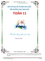 Chuyên đề đại số tổ hợp, xác suất, nhị thức niu tơn bồi dưỡng học sinh giỏi toán 11 