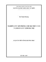 Nghiên cứu mô phỏng chế độ thủy văn và hoàn lưu vịnh bắc bộ 