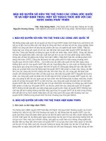 Com   bao ho quyen shtt theo cac cong uoc quoc te va hiep dinh trips