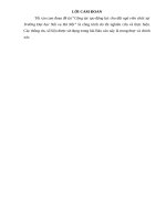 Công tác tạo động lực cho đội ngũ viên chức tại trường đại học nội vụ hà nội