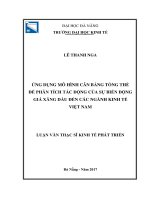Ứng dụng mô hình cân bằng tổng thể để phân tích tác động của sự biến động giá xăng dầu trên các ngành kinh tế việt nam