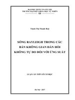 Sóng rayleigh trong các bán không gian đàn hồi không tự do đối với ứng suất 