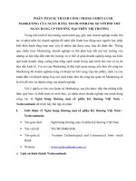 Phân tích sự thành công trong chiến lược marketing của ngân hàng techcombank so với đối thủ ngân hàng CP thương mại trên thị trường 