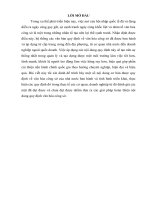 Nghiên cứu hệ thống các văn bản của Việt Nam về văn hóa công sở. Nhận xét và đánh giá về tình hình triển khai và thực hiện các quy định của nhà nước về văn hóa công sở tại một số doanh nghiệp hoặc một số cơ quan hành chính nhà nước