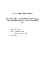 Định lượng glucose trong huyết thanh, amylase huyết và tìm glucose trong nước tiểu 