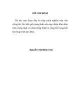 Nghiên cứu in vitro đánh giá độ bền dán giữa ngà chân răng và chốt sợi thuỷ tinh có và không có xoi mòn bề mặt bằng acid hydrofluoric thông qua thử nghiệm “đẩy ra” 