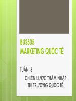 Bài giảng Marketing quốc tế (Th.s Nguyễn Thị Minh Hải)  Tuần 6