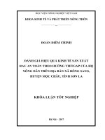 đánh giá hiệu quả kinh tế sản xuất rau an toàn theo hướng vietgap của hộ nông dân trên địa bàn xã đông sang, huyện mộc châu, tỉnh sơn la